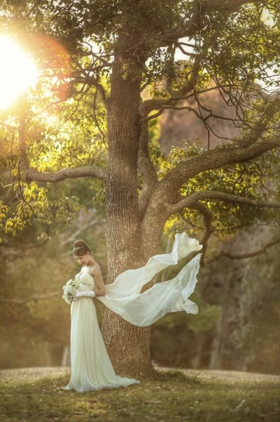 午後のドレスロケ