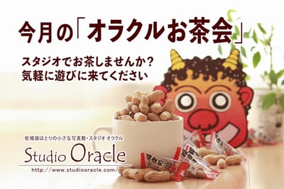 2月のお茶会は3日(火) image