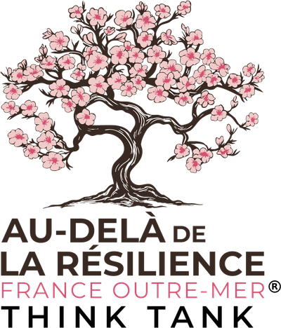 Au-delà de la Résilience