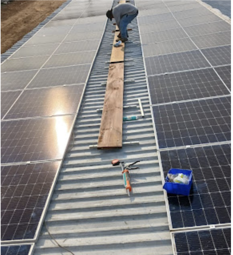 EMPRESA CERDO REAL, S.A