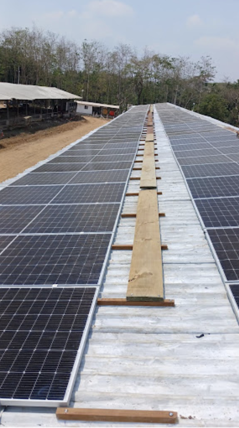 EMPRESA CERDO REAL, S.A