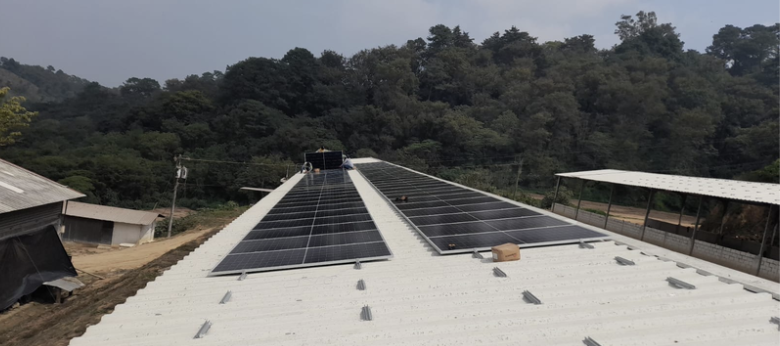 Porcina Cerdo Real, S.A