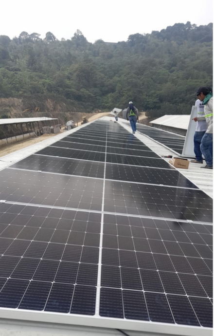 Porcina Cerdo Real, S.A