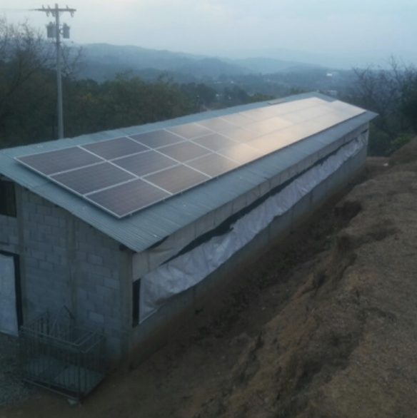 EMPRESA PORCINA  CERDO REAL, S.A