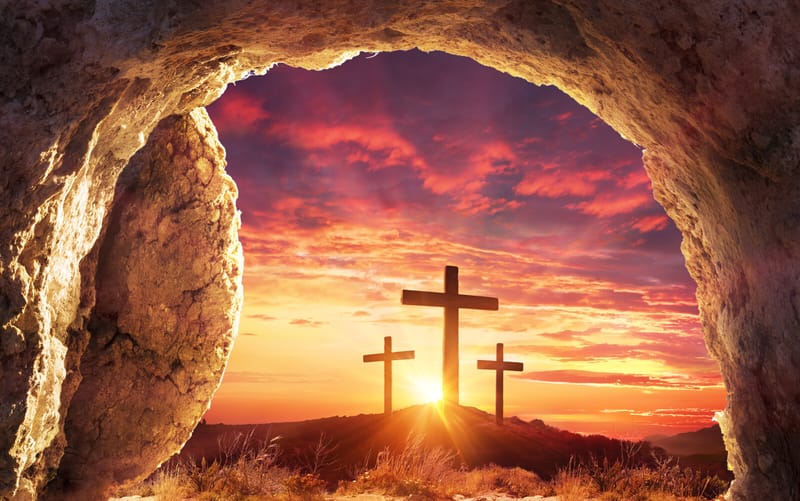 Oh, Holy Night: Retracing Our Salvation History