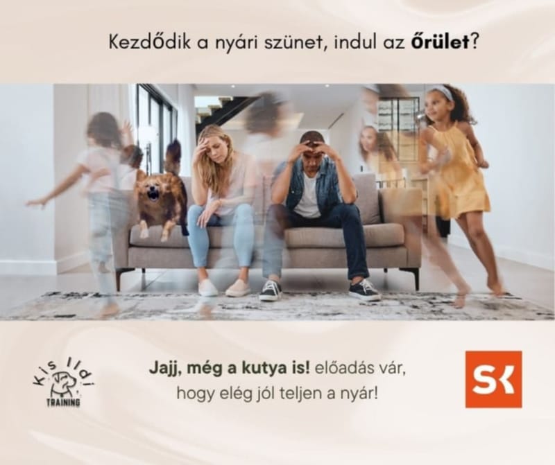 „Családi iránytű”, avagy Könyvtanácsadás