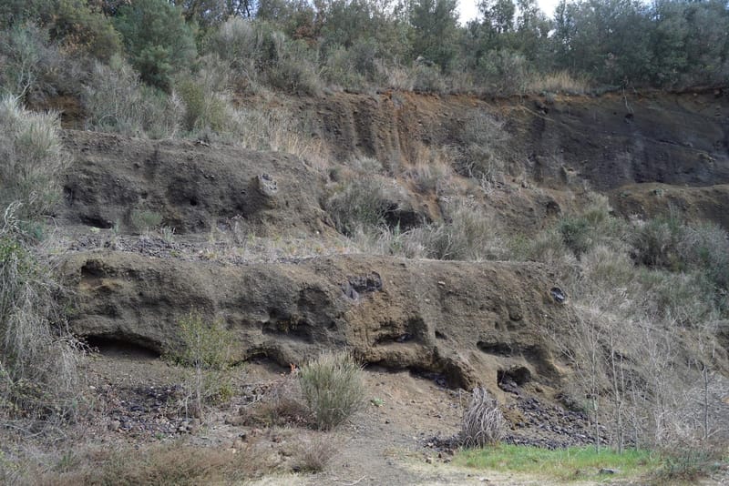 EXCURSION GRUPAL ZONA VOLCANICA