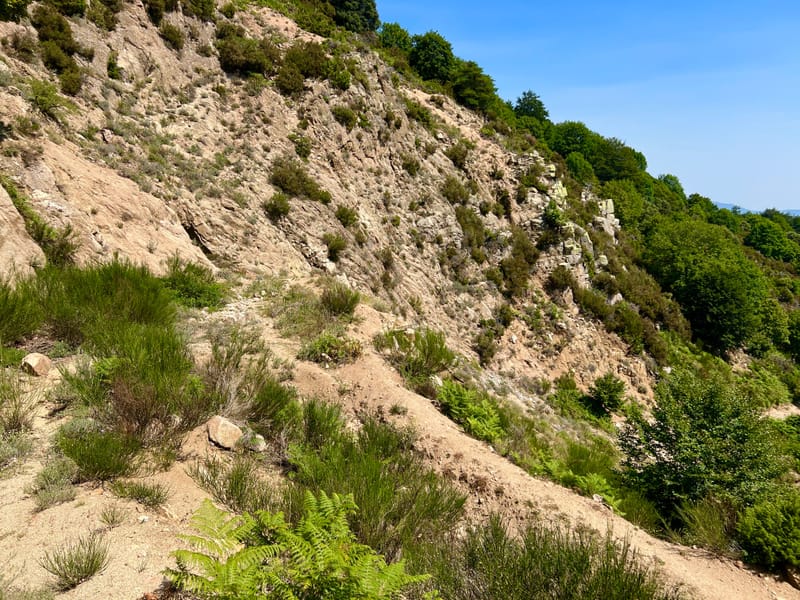 EXCURSION GRUPAL MONTSENY