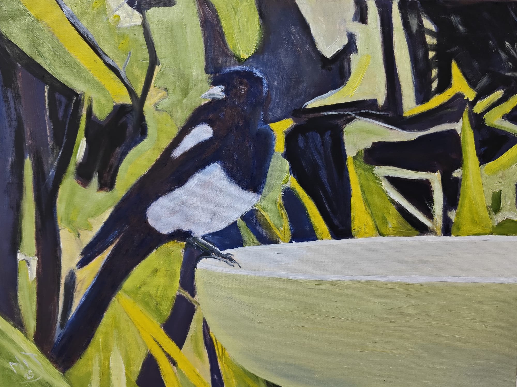 Garden Magpie