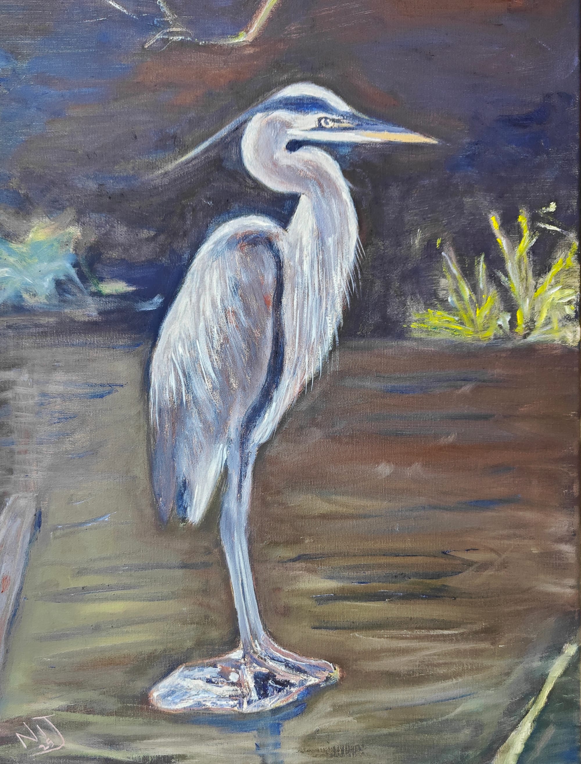 Heron: Victoria Park