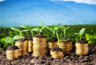 رحلة الواقف: من النية إلى التوثيق