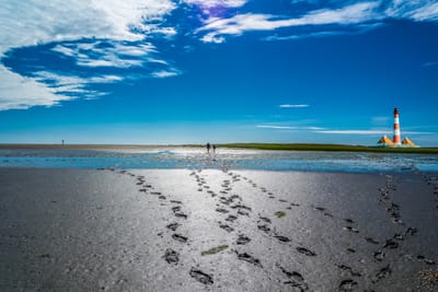 Ostfriesland und Insel Langeoog - Auf Du und Du mit Willi Wattwurm image