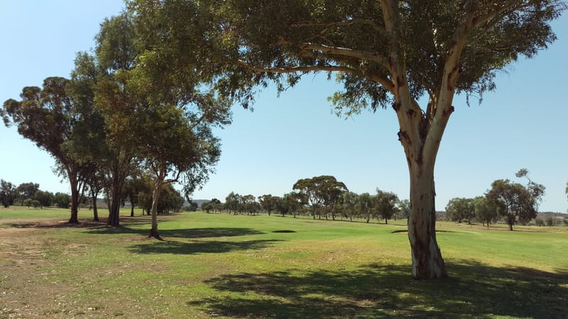 NSW Veterans Week of Golf 2025