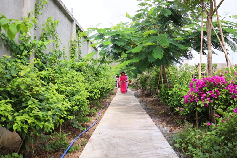 Thiền Về Nguồn, Tri Ân Cha Mẹ - Back to Our Roots: A Meditation of Gratitude to Parents