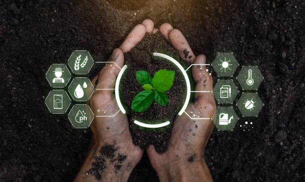 AGRICULTURE