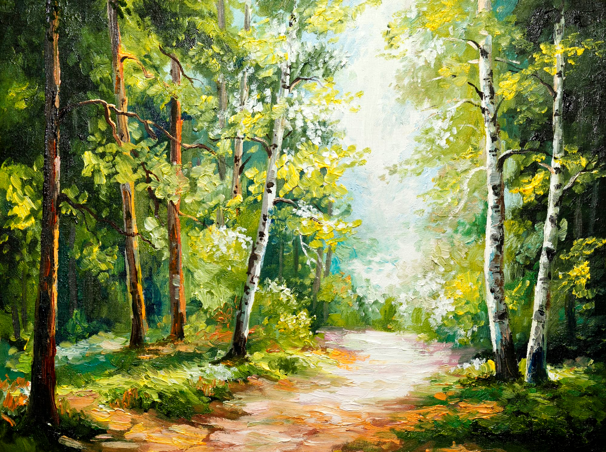 Understanding the Environment as a Sanctuary