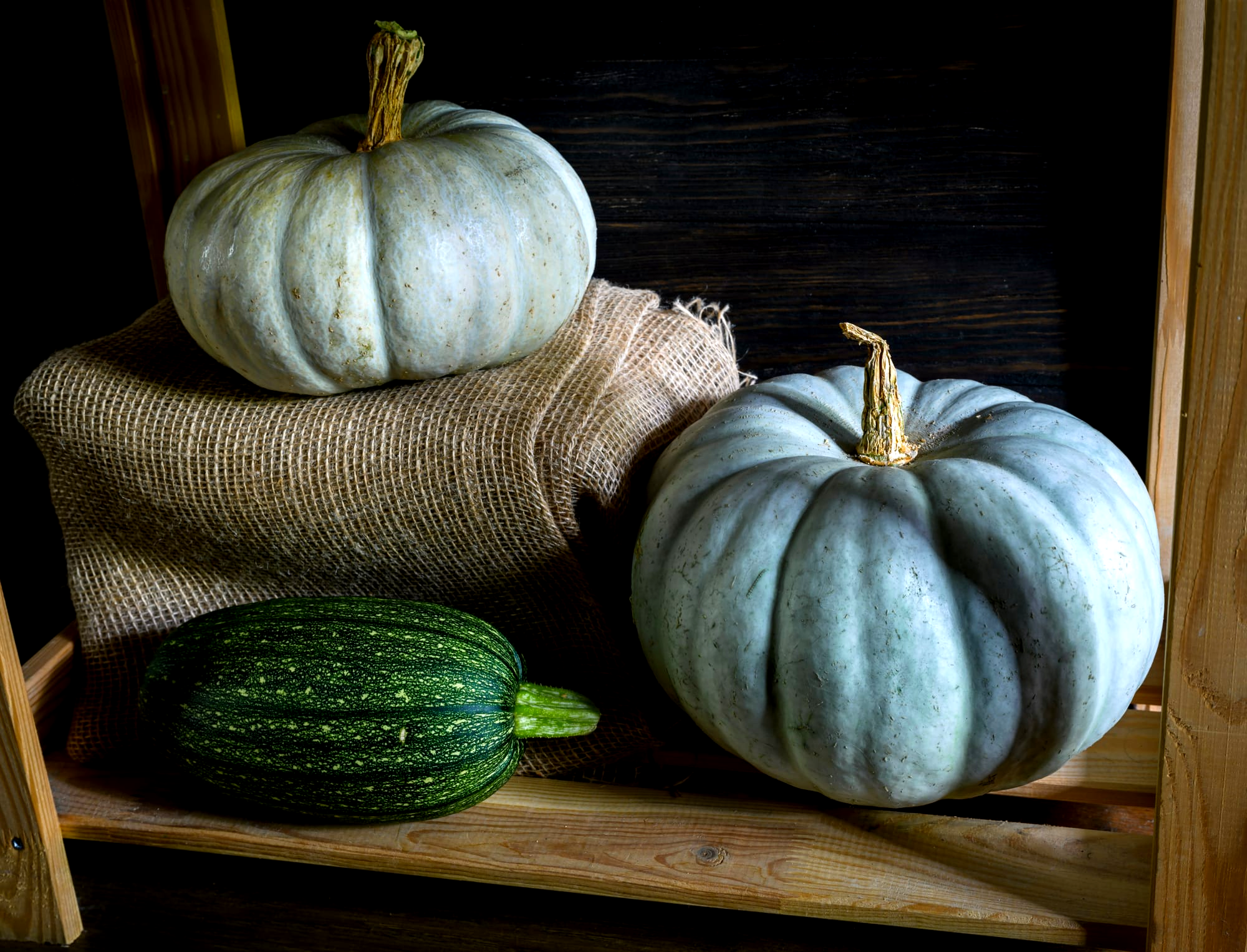 The Secret Pantry: Preserving Ancient and Heirloom Seed and Grain Varieties