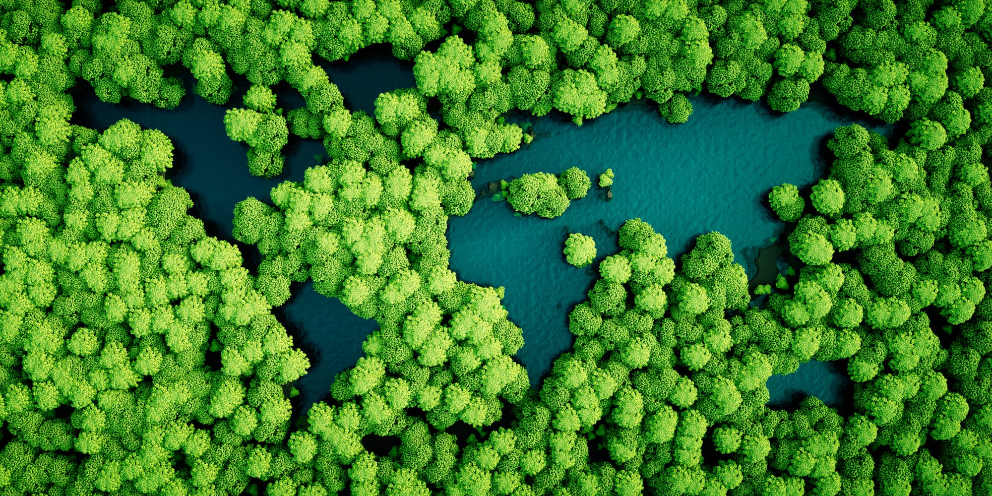Designing a Food Forest