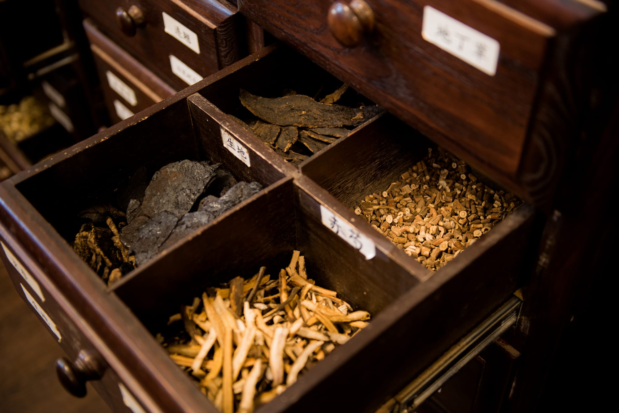 Core Pillars of the Natural Pharmacopeia