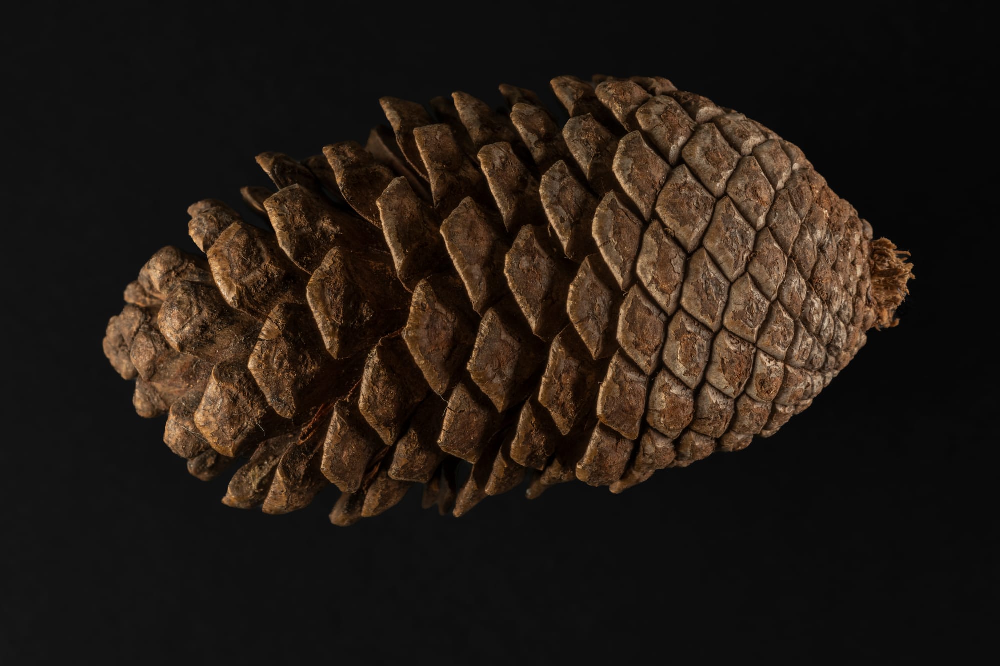 Psychological Safety Standards for the Home and Community Settings