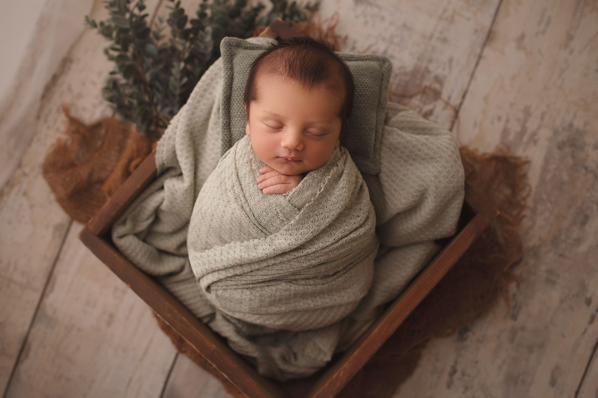 SESIÓN NEWBORN ESTANDAR