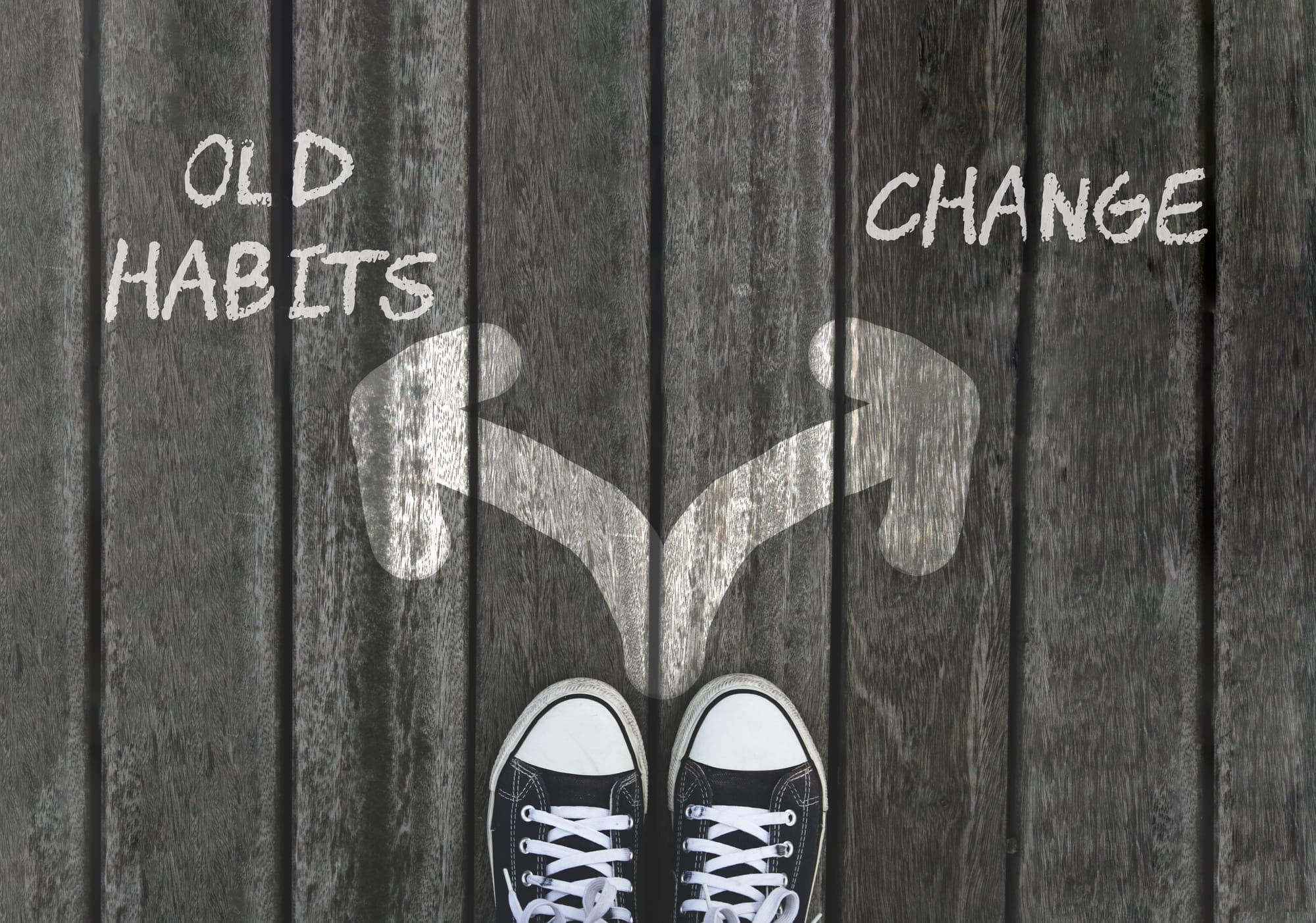 WE ARE TRANSITIONS