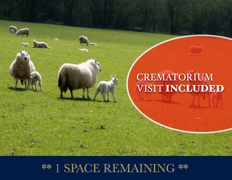 Merthyr Tydfil **1 SPACE REMAINING**