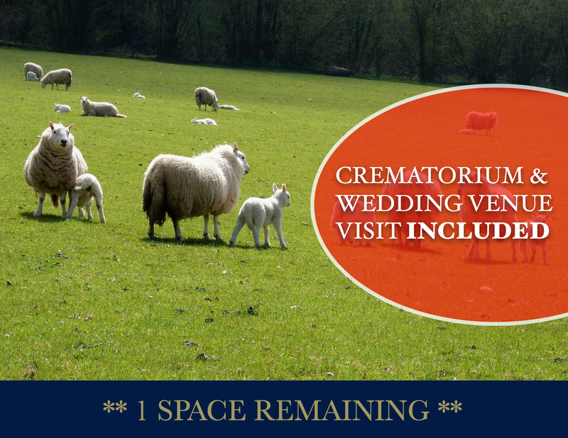 Merthyr Tydfil **1 SPACE REMAINING**