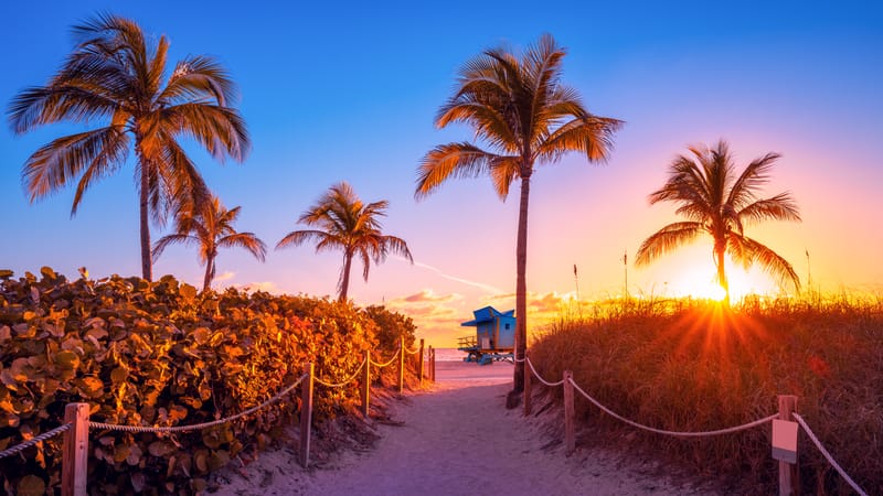 America, Miami **LIMITED SPACES**