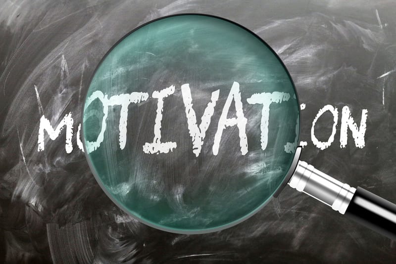 How Motivation Affects Adult Learning: Intrinsic vs. Extrinsic Drivers