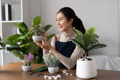 The Evolution of Residential Geomancy: Why DIY Feng Shui Fails in Modern Singapore