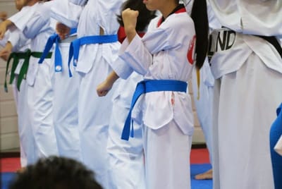 Mastering the Art: Selecting Your Perfect Taekwondo Level