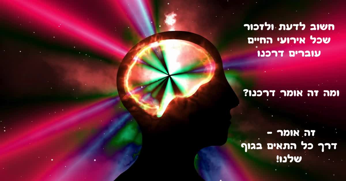 איך משפיע הסטרס על התאים בגוף ואיך ניתן להרגיע את הסטרס בהתמעלות הרמונית