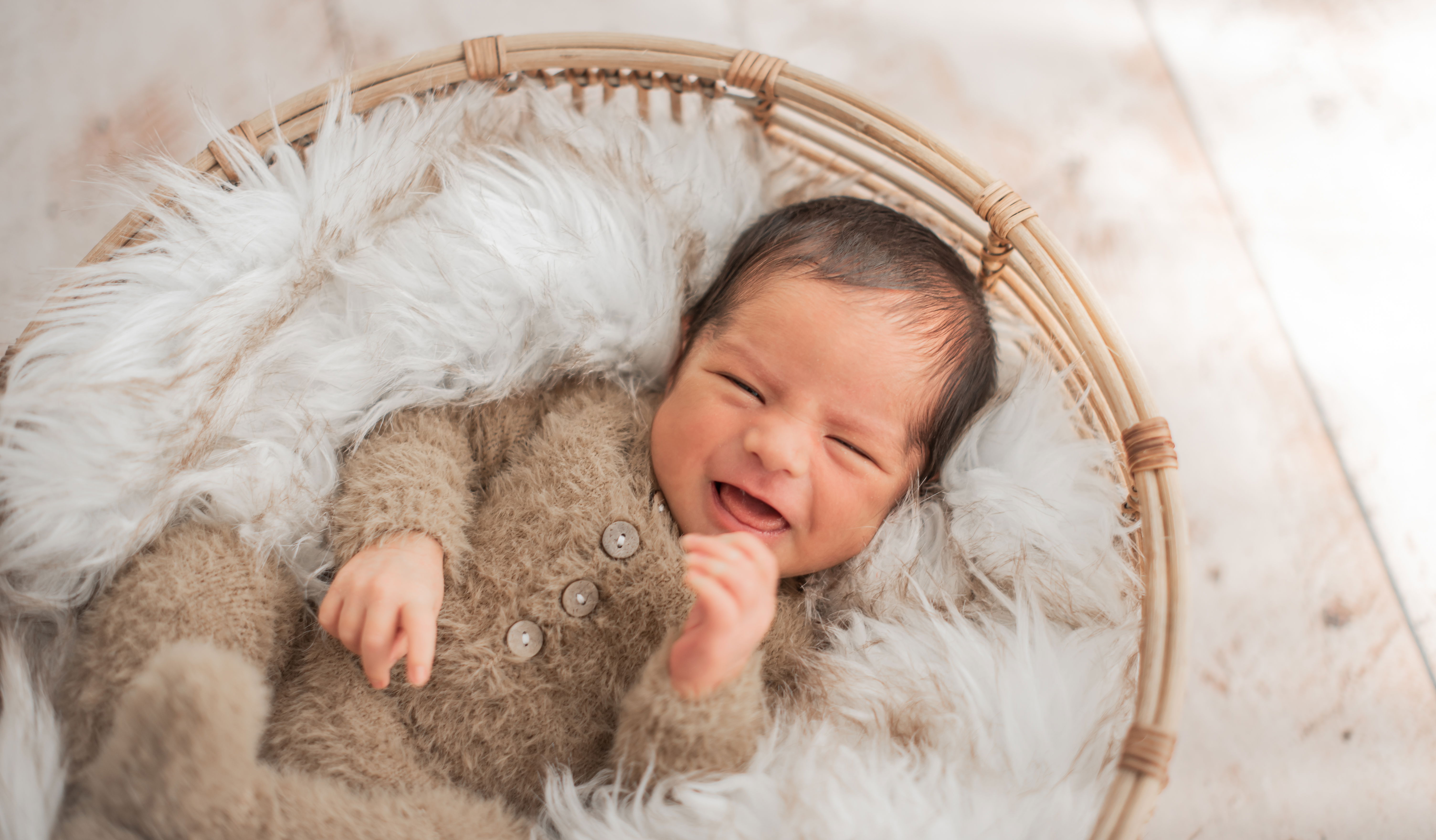 Northern virginia newborn photographer