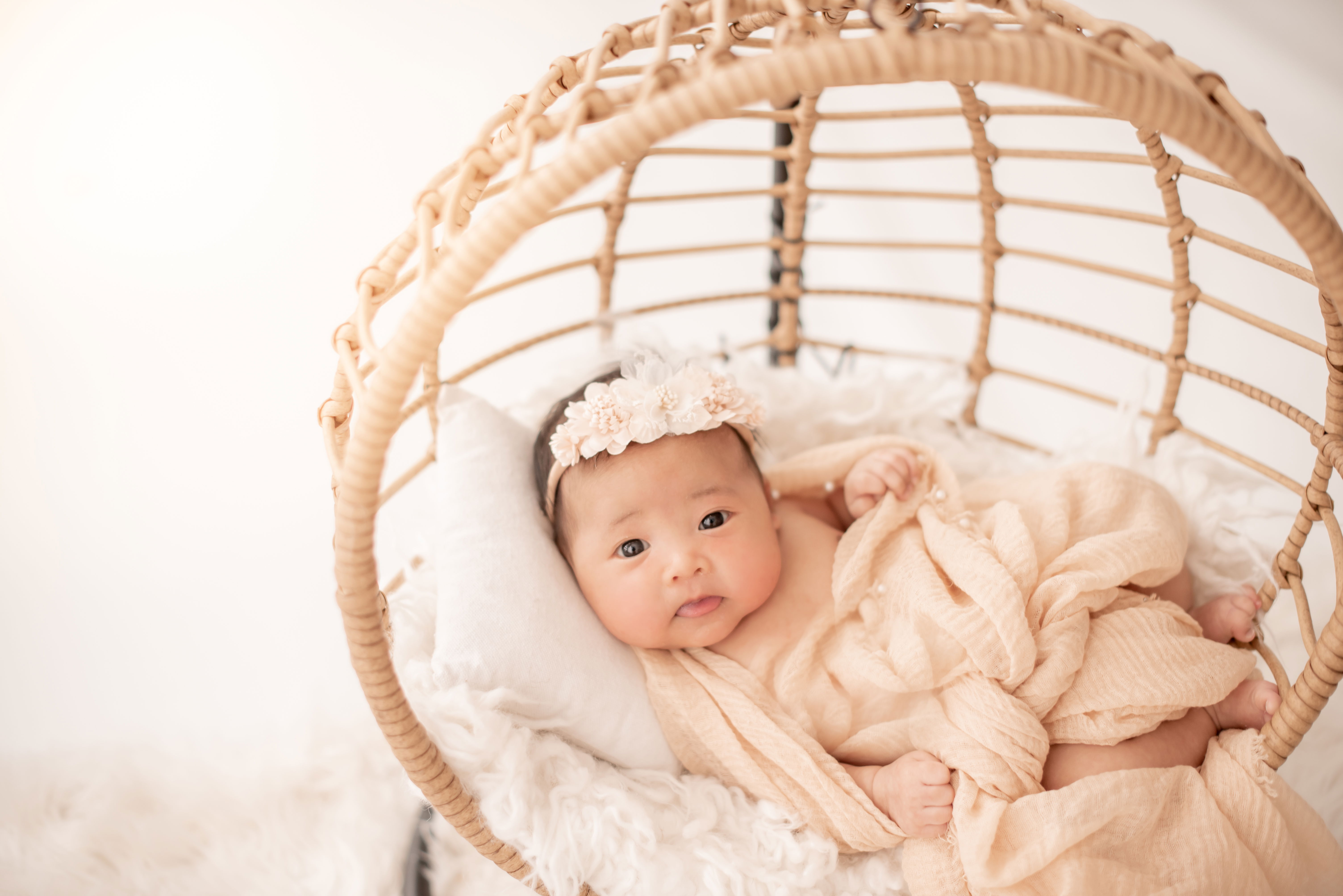 Reston newborn photographer