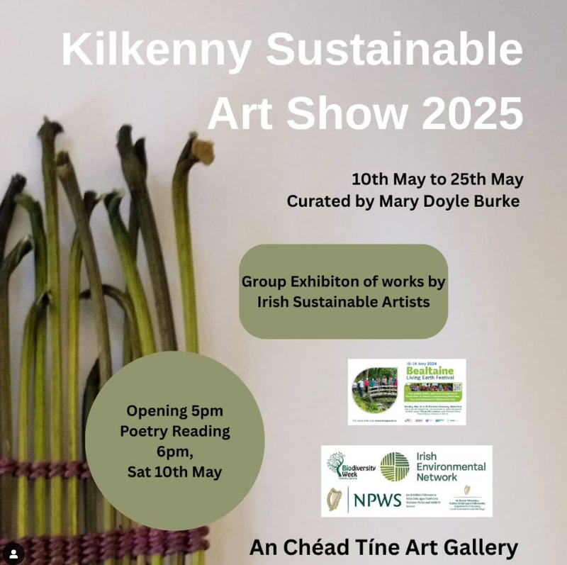 Kilkenny Sustainable Art Show 2025