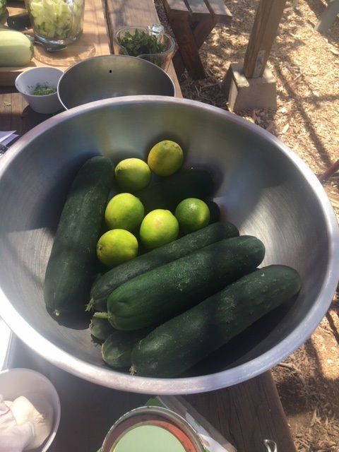 Cukes can be eaten fresh, cooked, or pickled