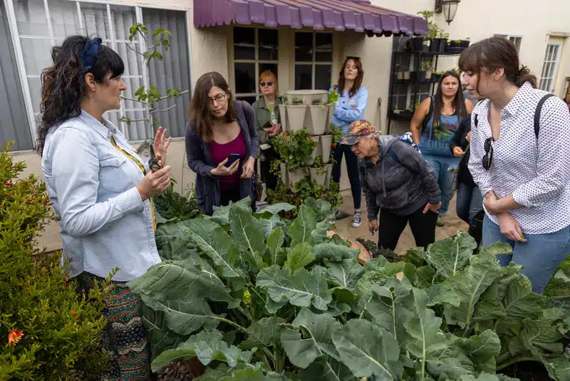 Peek over the fence: Long Beach farm & garden tour explores hidden green gems | Longbeachize