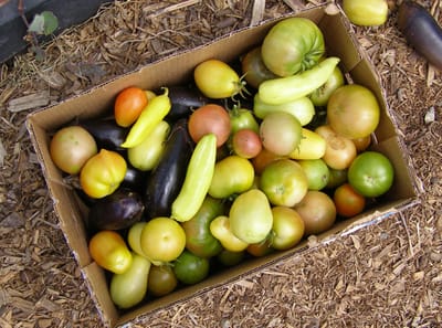 Giving Gardens image