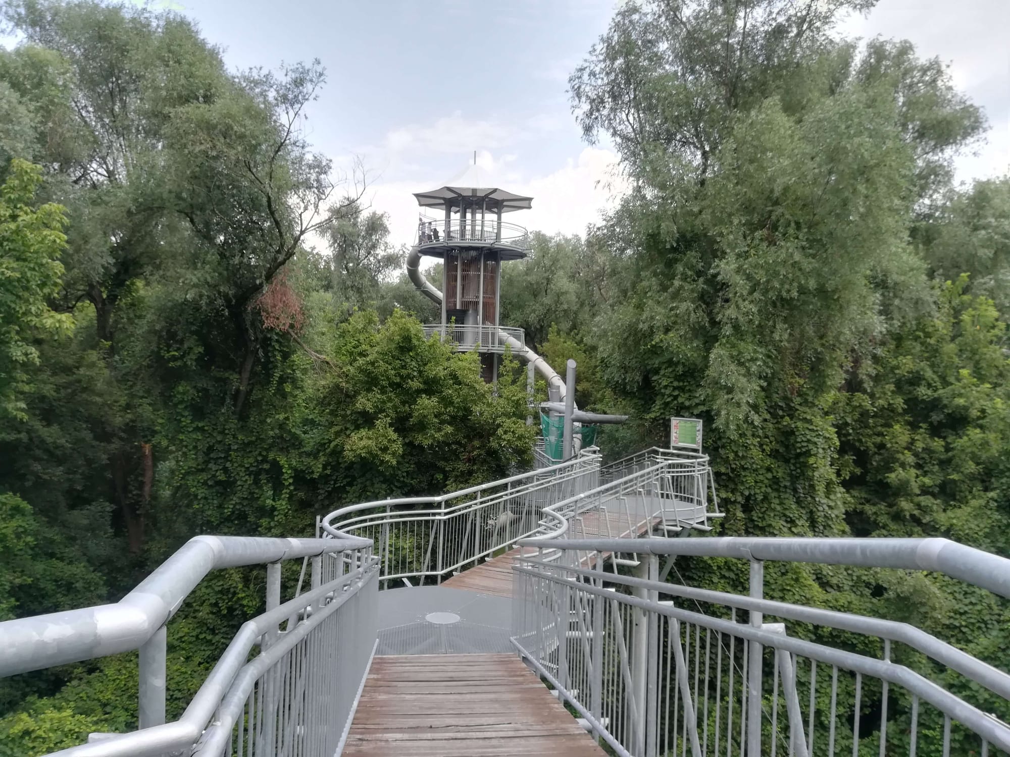 promenada coroanelor de arbori Mako