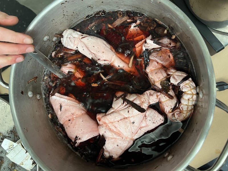 Red Line Service Special Program: Natural Dye Workshop with the Common Buckthorn Plant