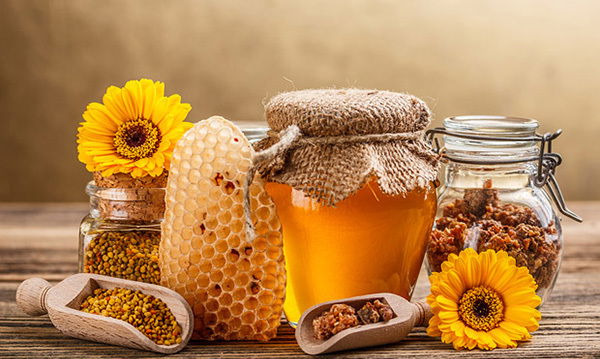 🍯 PRODUCCIÓN Y VENTA DE PRODUCTOS APÍCOLAS