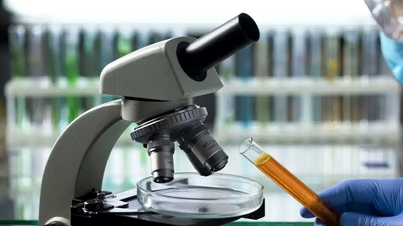 🔬 ANÁLISIS DE CALIDAD DE MIEL Y DERIVADOS