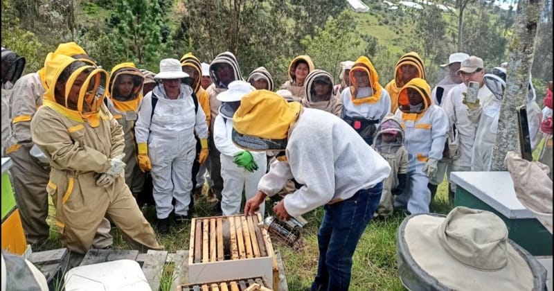 🏕️ APITURISMO Y EXPERIENCIAS ADUCATIVAS