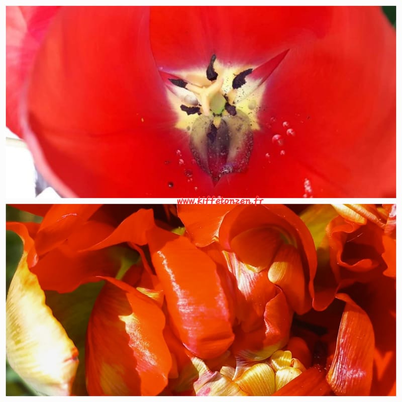 Neuroatypique fatigué