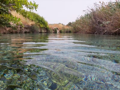 המלצות מסלולים ואתרים (חינמיים) לטיולים  באיזור עמק יזרעאל, הגלבוע ועמק המעיינות