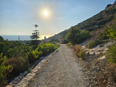 המלצות מעיינות, מסלולים תצפיות חינמיים במרחב גבעות אלונים והכרמל