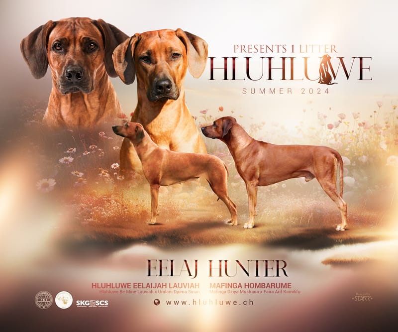 Pregnancy confirmation