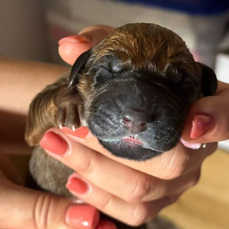 Here we are! The three musketeers!