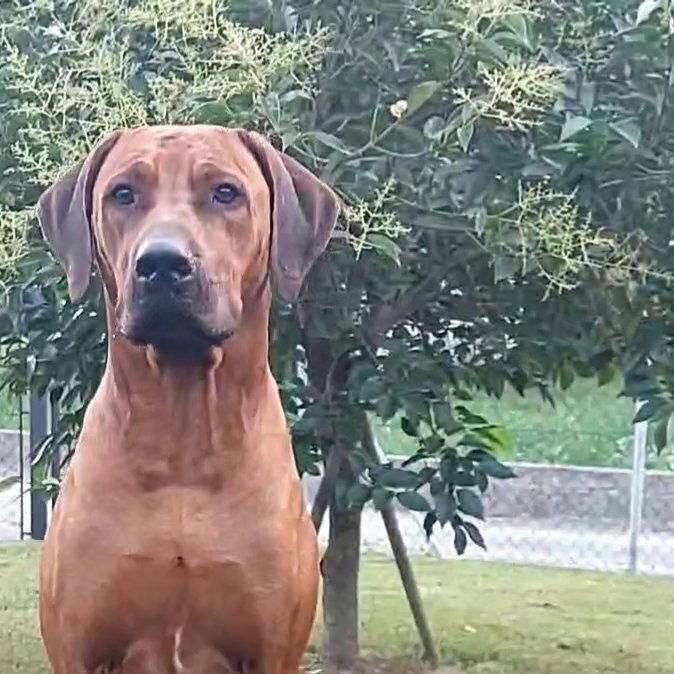 Some new GazGaz's pics